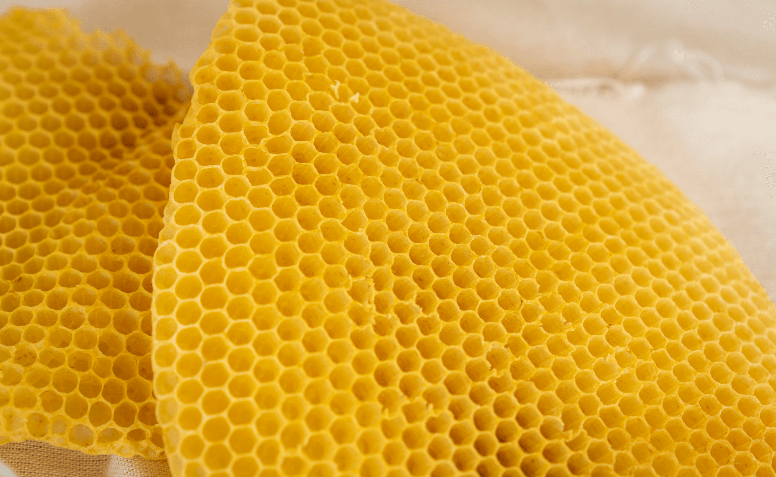 養蜂家が自社生産している品質性に優れたミツロウだけを厳選し、惜しみなくたっぷりと使用